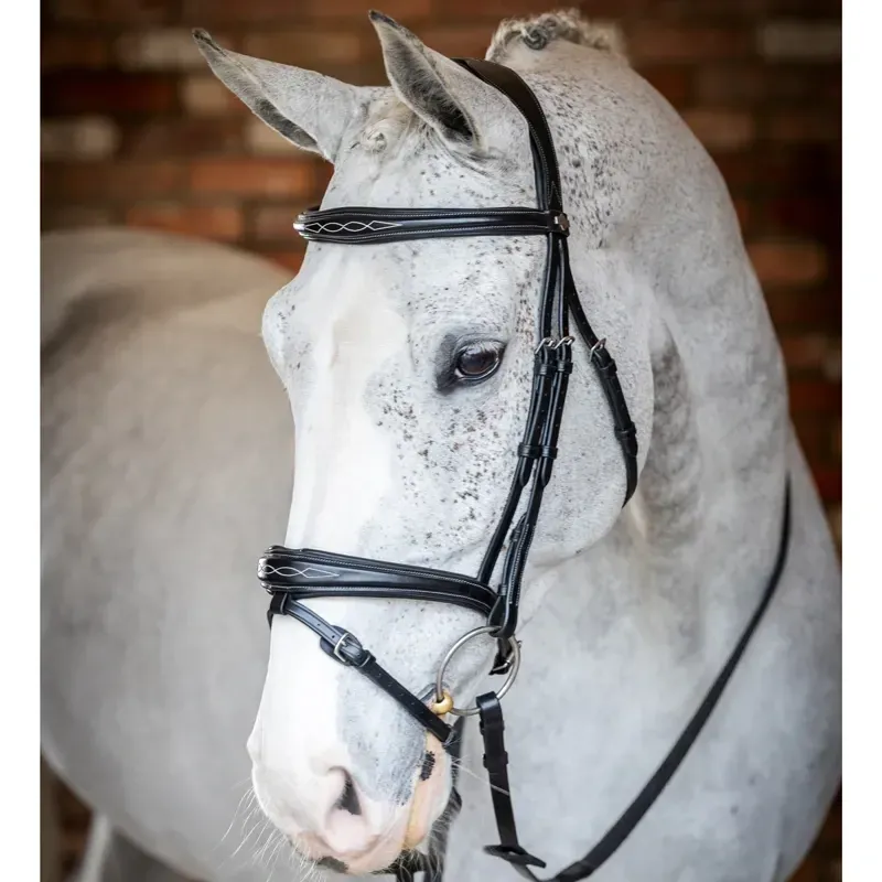 LeMieux Kudos Competition Flash Bridle - Black-3