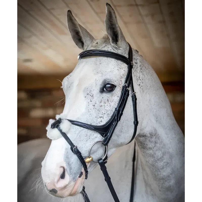 LeMieux Kudos Grackle Bridle - Black-2