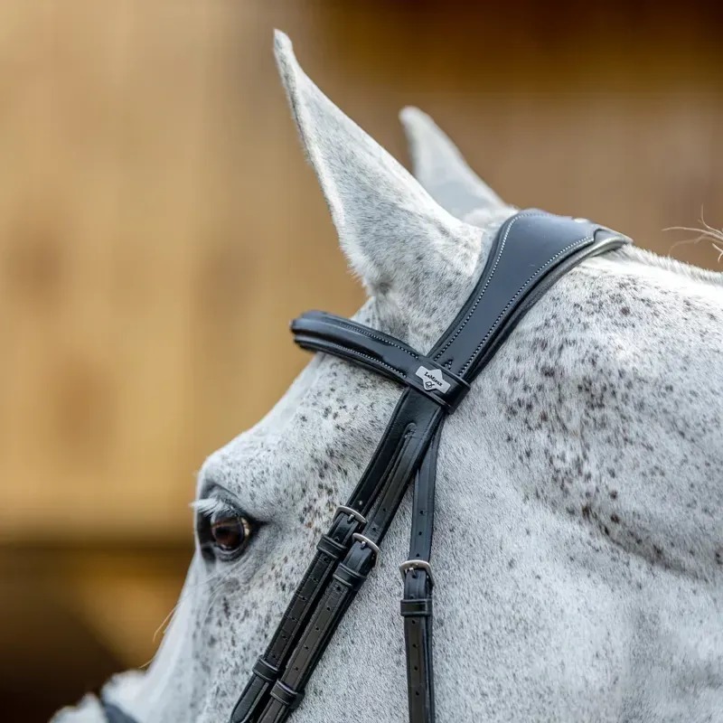 LeMieux Kudos Grackle Bridle - Black-3