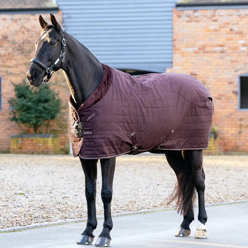 LeMieux Kudos Luxe Lined 100g Stable Rug - Damson