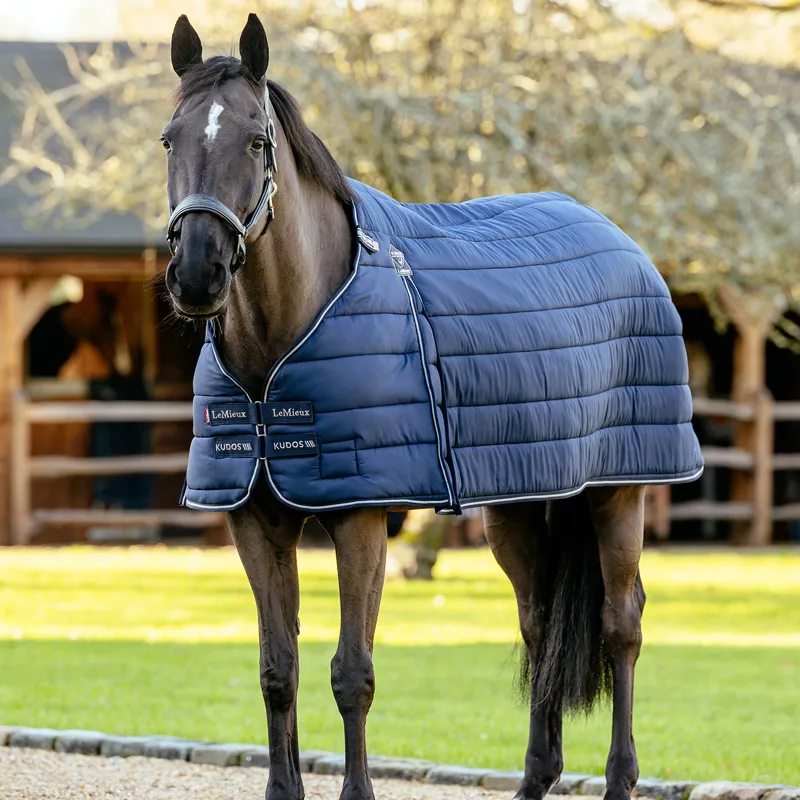 LeMieux Kudos 100g Rug Liner - Navy-1