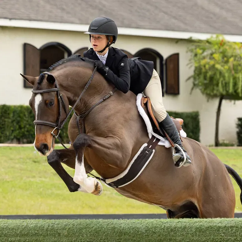 LeMieux Merino+ Hunter Saddle Pad - White/White-2