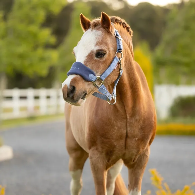 LeMieux Mini Vogue Headcollar and Leadrope  - Powder Blue-1