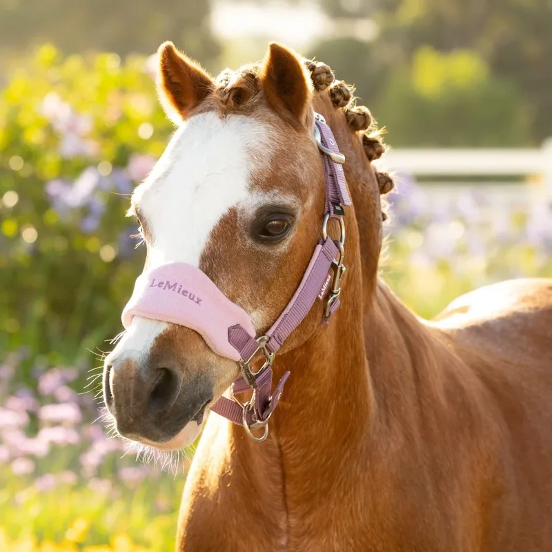 LeMieux Mini Vogue Headcollar and Lead Rope  - Mallow-1