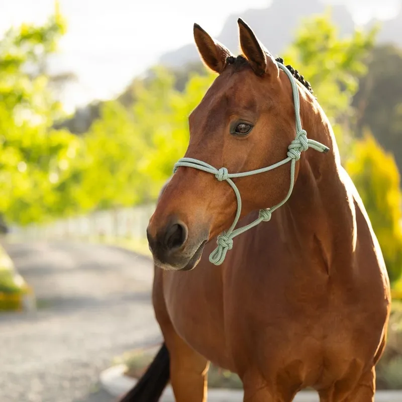 LeMieux Rope Halter - Macaron-1