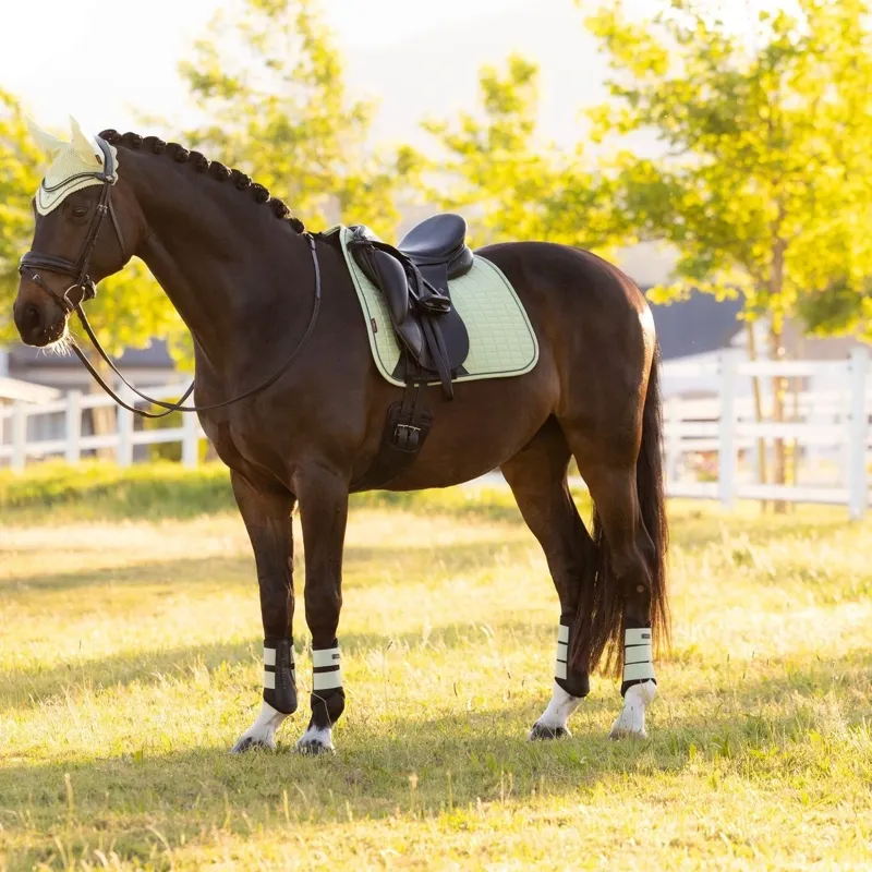 LeMieux Suede Dressage Saddlecloth - Macaron-2