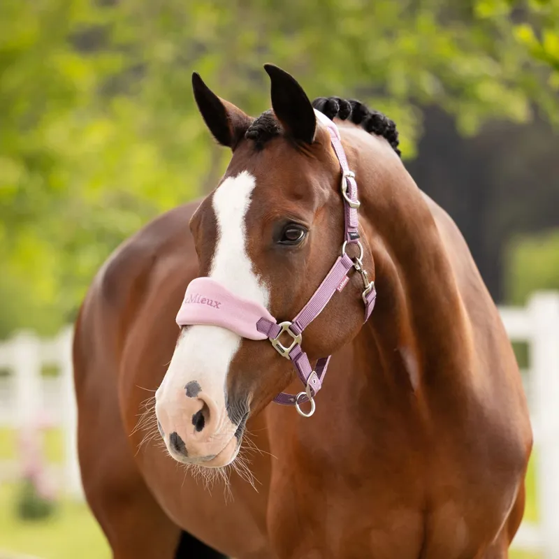LeMieux Vogue Headcollar and Leadrope Set - Mallow-1