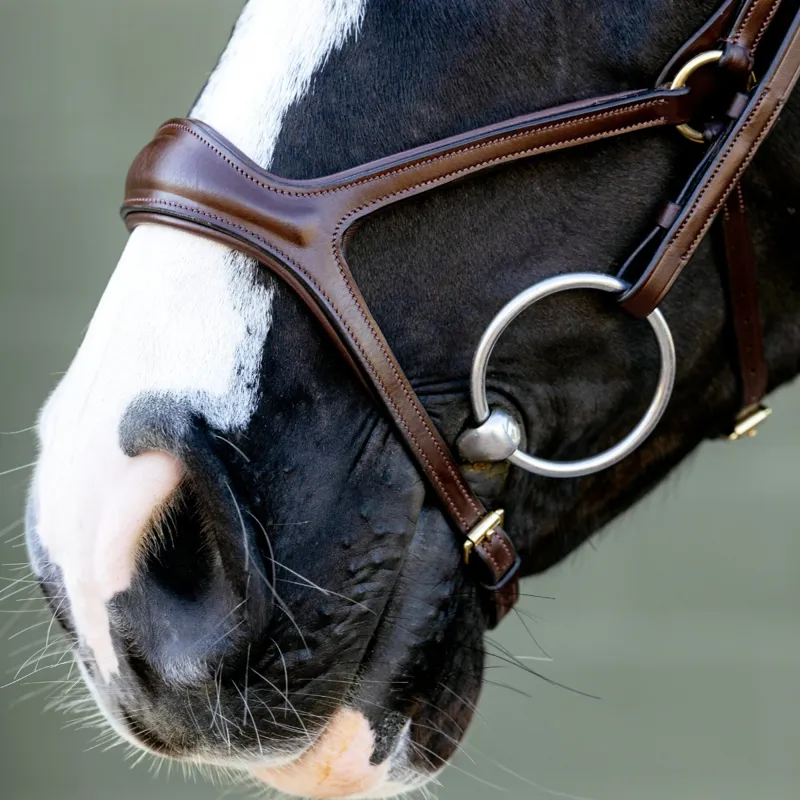 LeMieux Kudos Sport Bridle - Havana/Brass-3