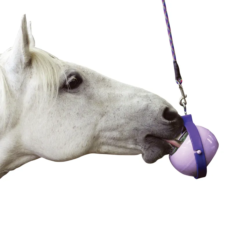 Likit Boredom Buster - Purple/Lilac-1