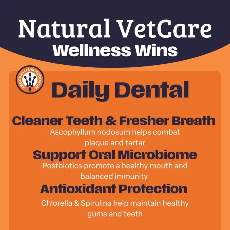 NAF NVC Daily Dental-1