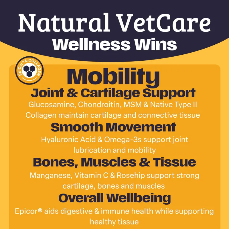 NAF NVC Mobility-1
