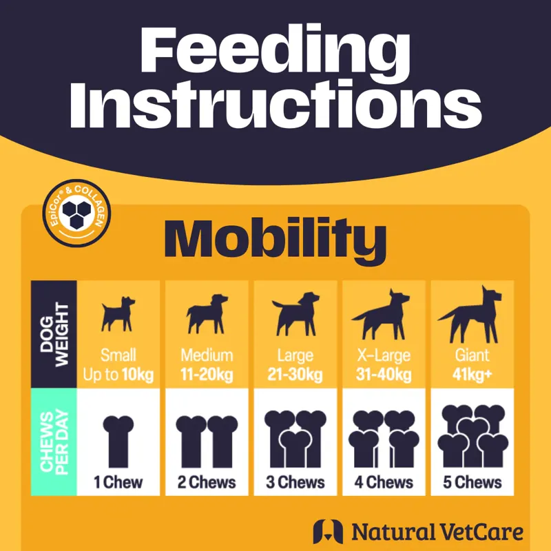 NAF NVC Mobility-2