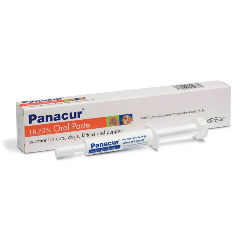 Panacur Oral Paste Wormer for Cats/Dogs/Kittens/Puppies