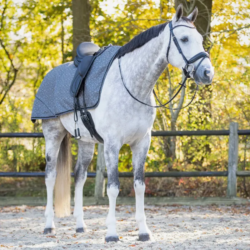 QHP Turnout Collection 1200D Fleece Exercise Sheet - Grey/Reflective-1