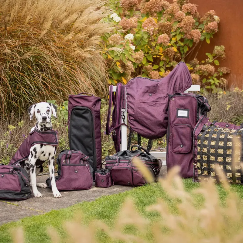 QHP Collection Bridle Bag -  Wine Red-4