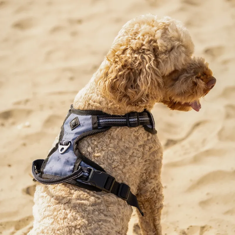 QHP Collection Dog Harness - Misty Blue-3