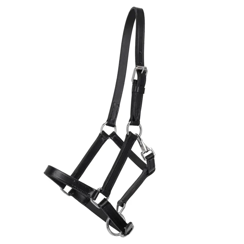 QHP Foal Leather Head Collar with Clip - Black