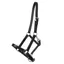 QHP Foal Leather Head Collar with Clip - Black