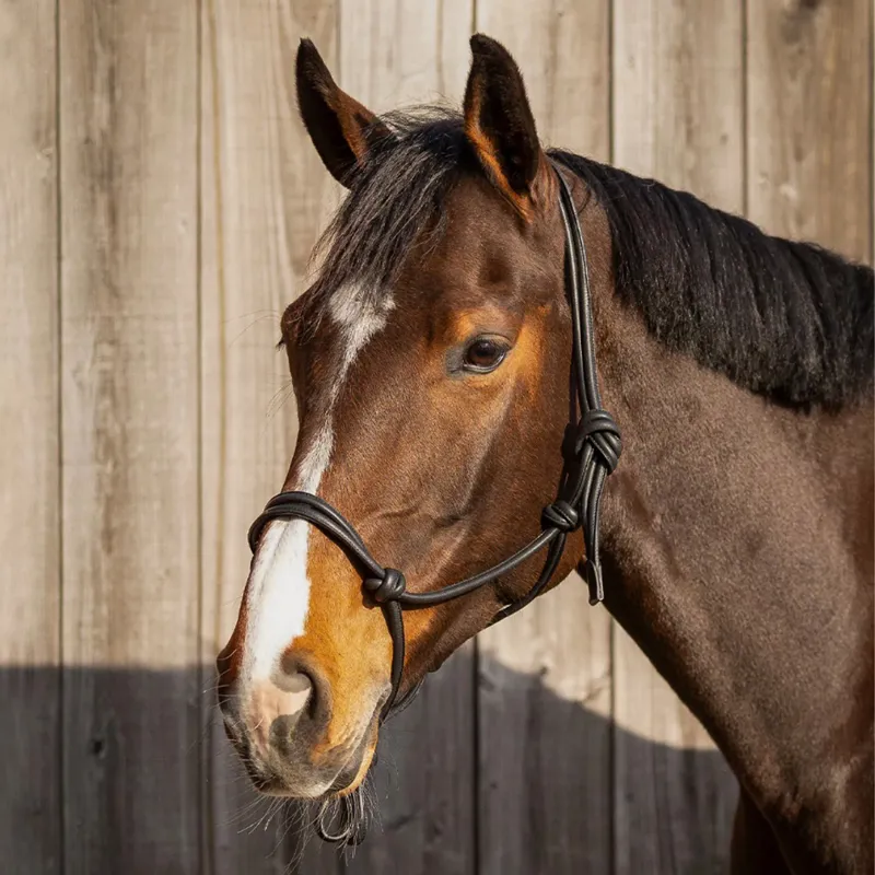 QHP Liberta Leather Rope Headcollar - Black-1