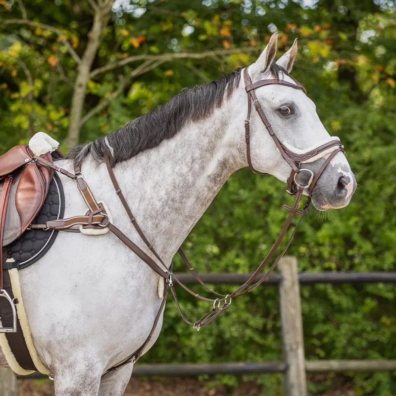 QHP Ontario Bridle with Reins - Brown-5