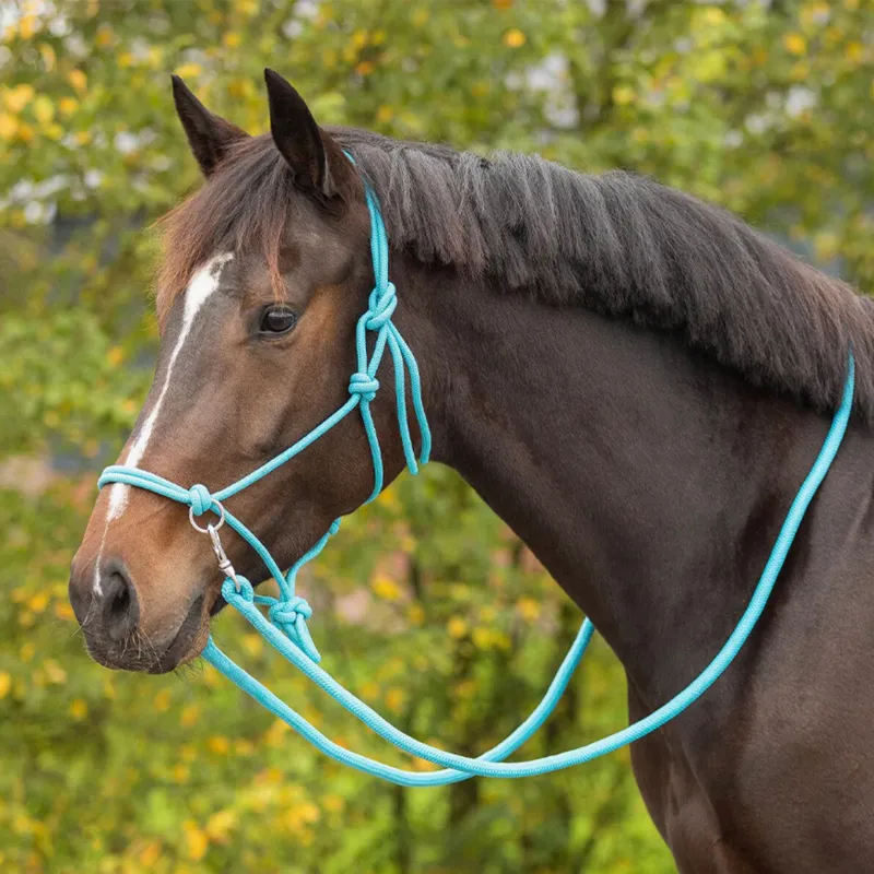 QHP Colour Rope Headcollar with Reins - Sky-2