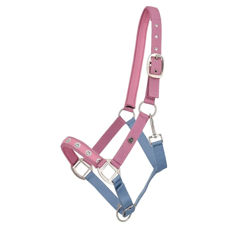 QHP Rosalynn Headcollar - Pink/Blue