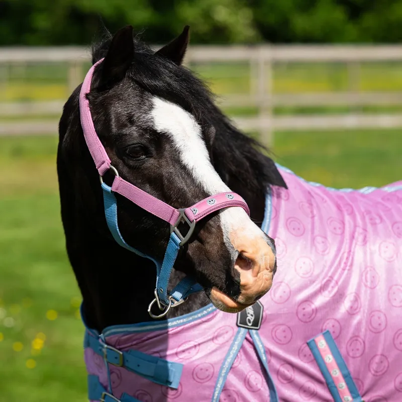 QHP Rosalynn Headcollar - Pink/Blue-1
