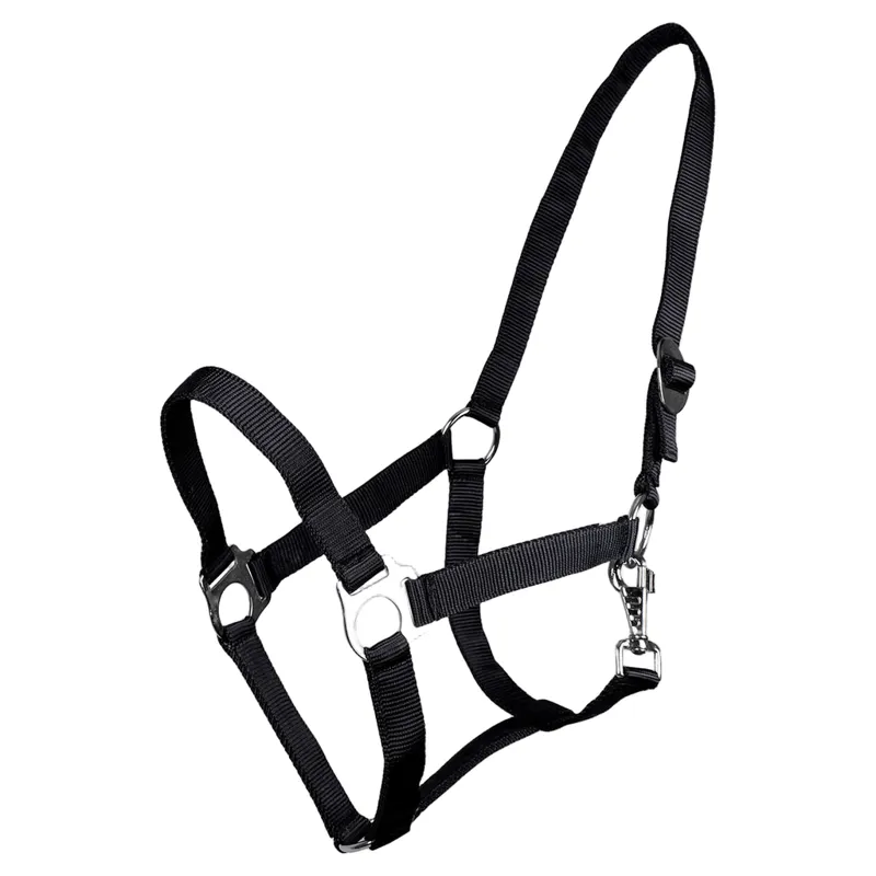 QHP Q Essentials Slide Headcollar - Black