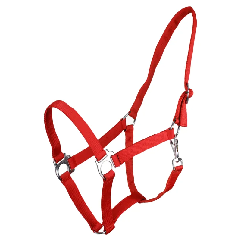 QHP Q Essentials Slide Headcollar - Bright Red