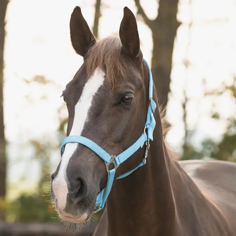 QHP Q Essentials Slide Headcollar - Sky-1