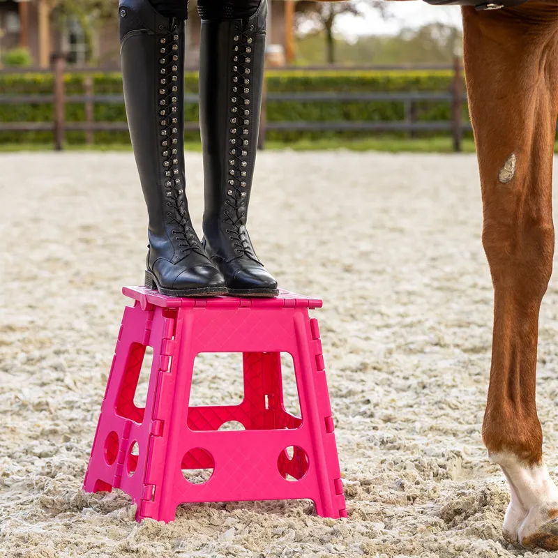 QHP Step-Up Stool - Fuchsia-1