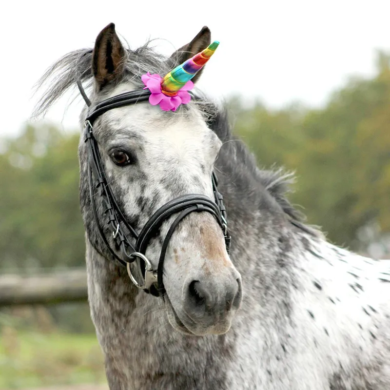 QHP Horse Unicorn Horn - Rainbow-1