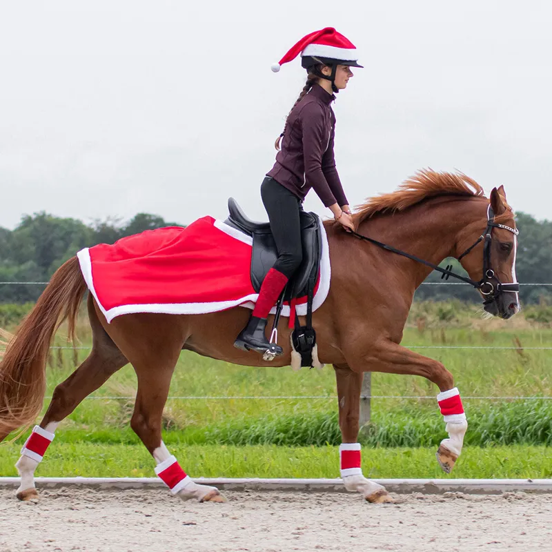 QHP Christmas Exercise Sheet - Red/White-1