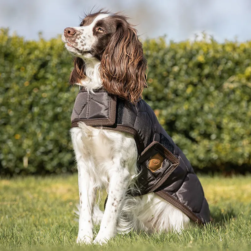 QHP Classy Dog Coat - Dark Brown