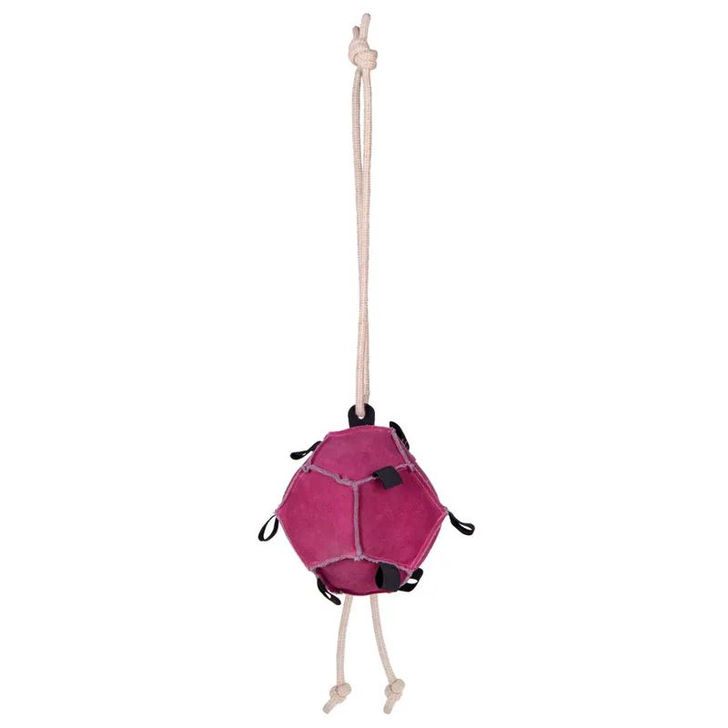 QHP Horse Toy Ball - Pink