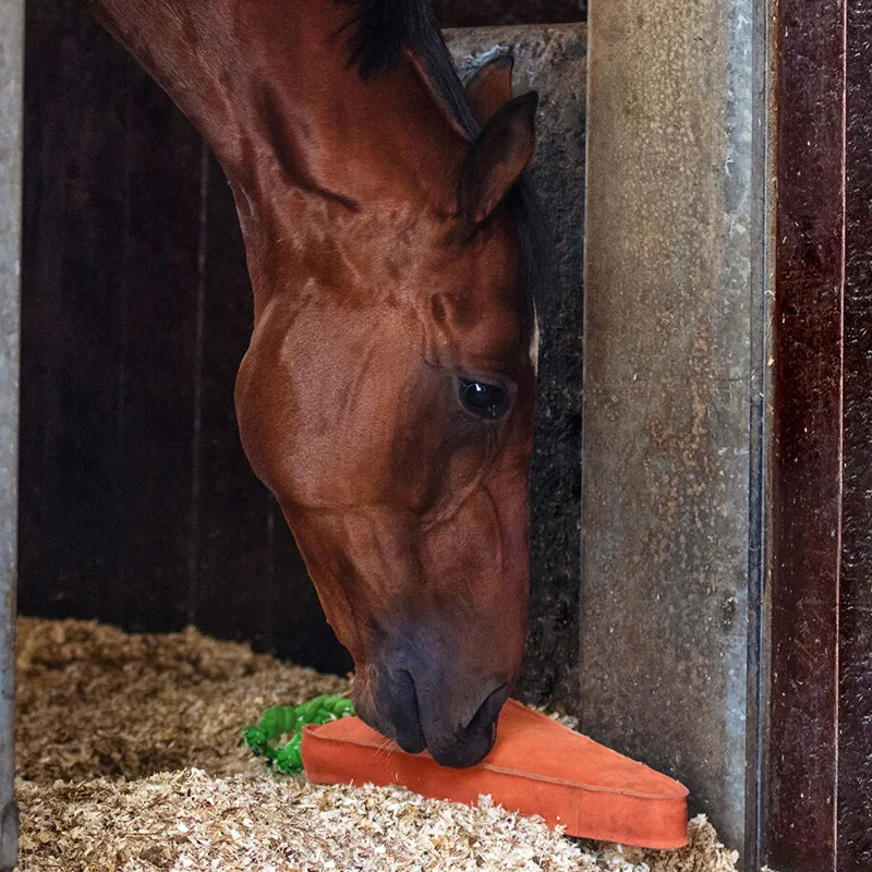 QHP Horse Toy - XL Carrot-1