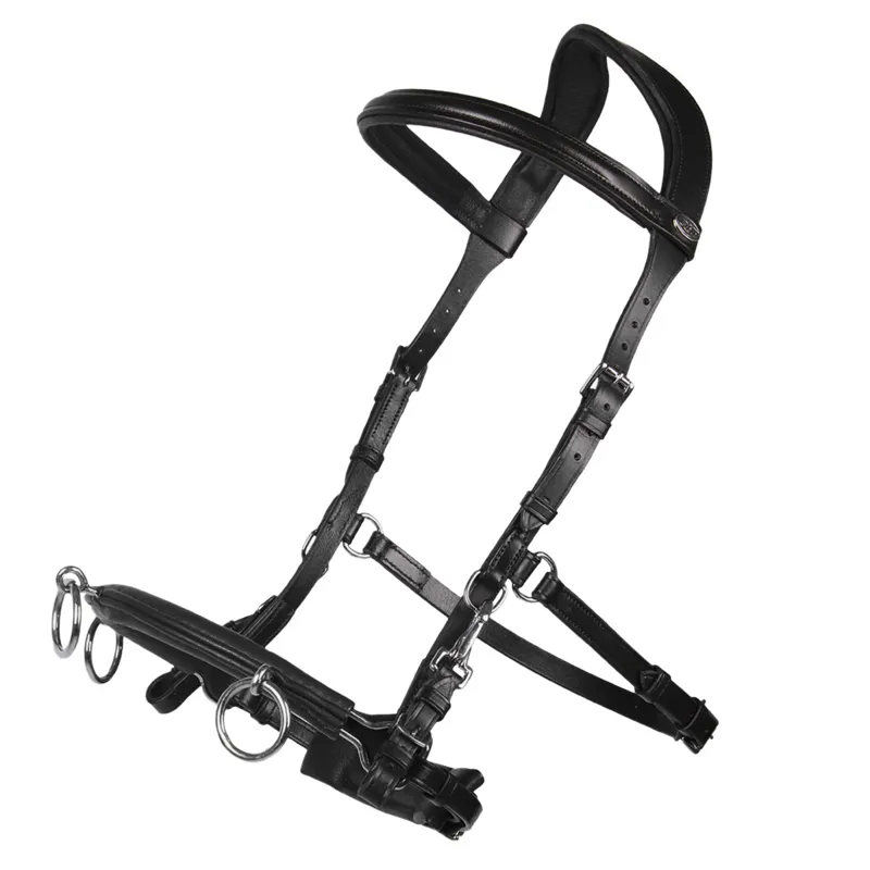 QHP Leather Anatomical Lunge Cavesson - Black