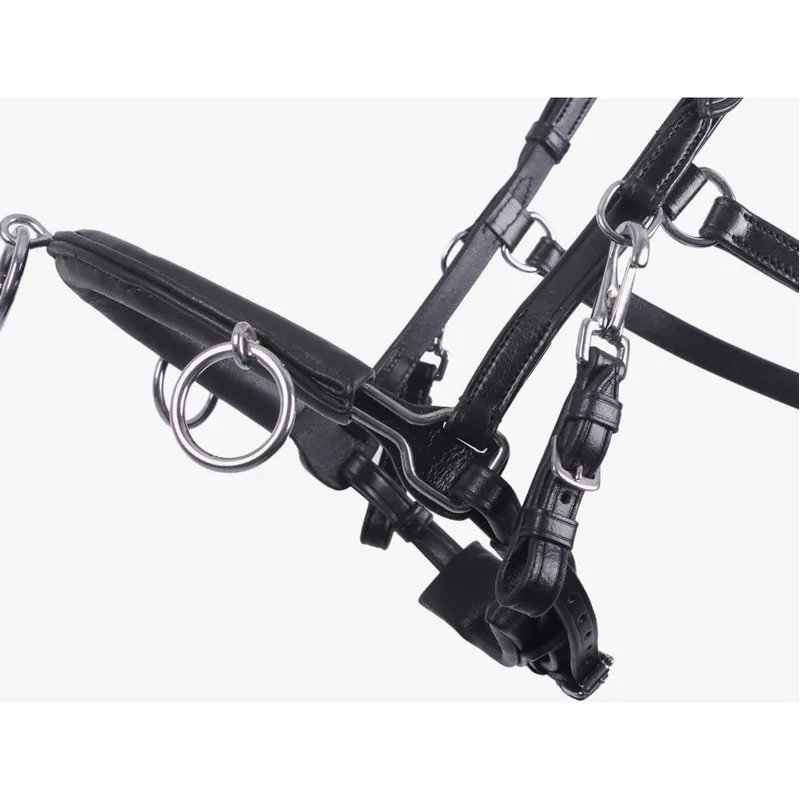 QHP Leather Anatomical Lunge Cavesson - Black-1
