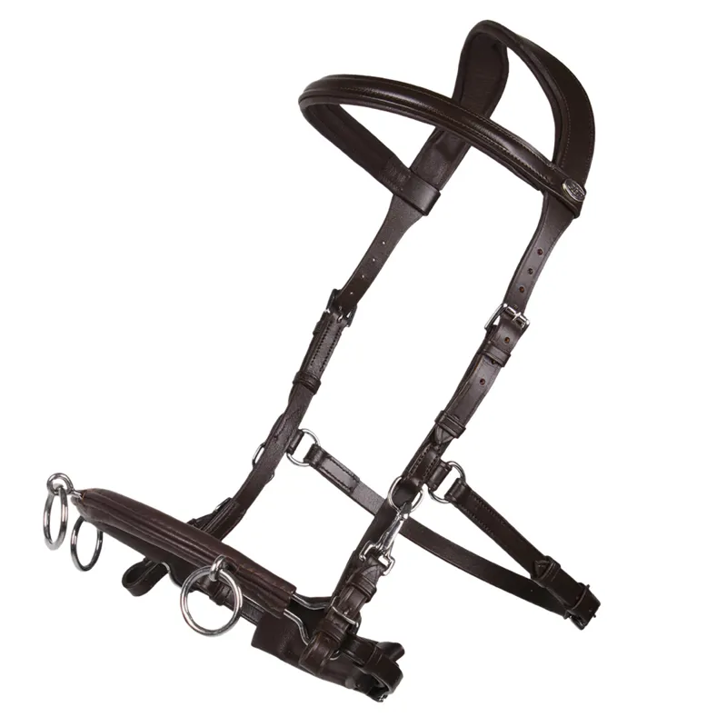 QHP Leather Anatomical Lunge Cavesson - Brown