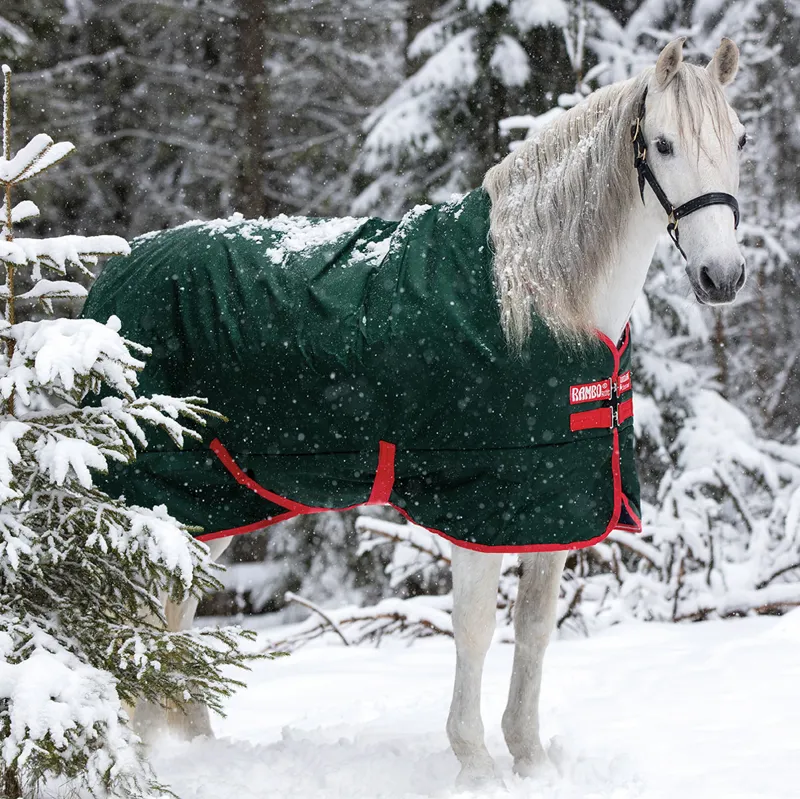 Rambo Original 400g Standard Neck Turnout Rug - Green/Red