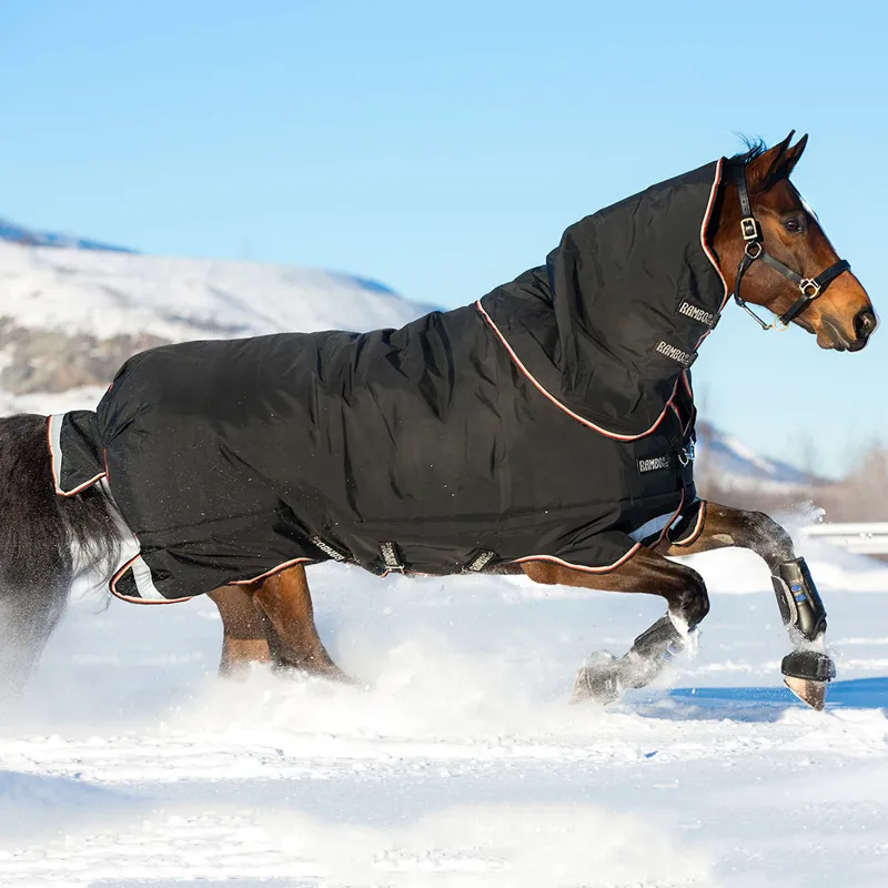 Rambo Supreme 420g Detachable Neck Turnout Rug - Black/Orange