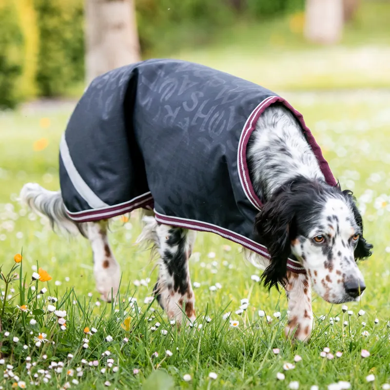 Amigo Ripstop Dog Rug - Navy HW Print/Burgundy