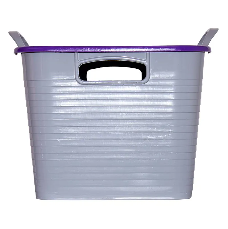 Red Gorilla Stack N Store Box - Grey/Purple