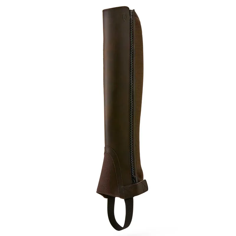 Ariat Scout Adults Half Chaps - Dark Brown