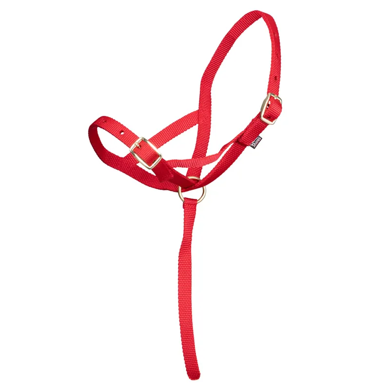 ARMA Foal Slip - Red-1