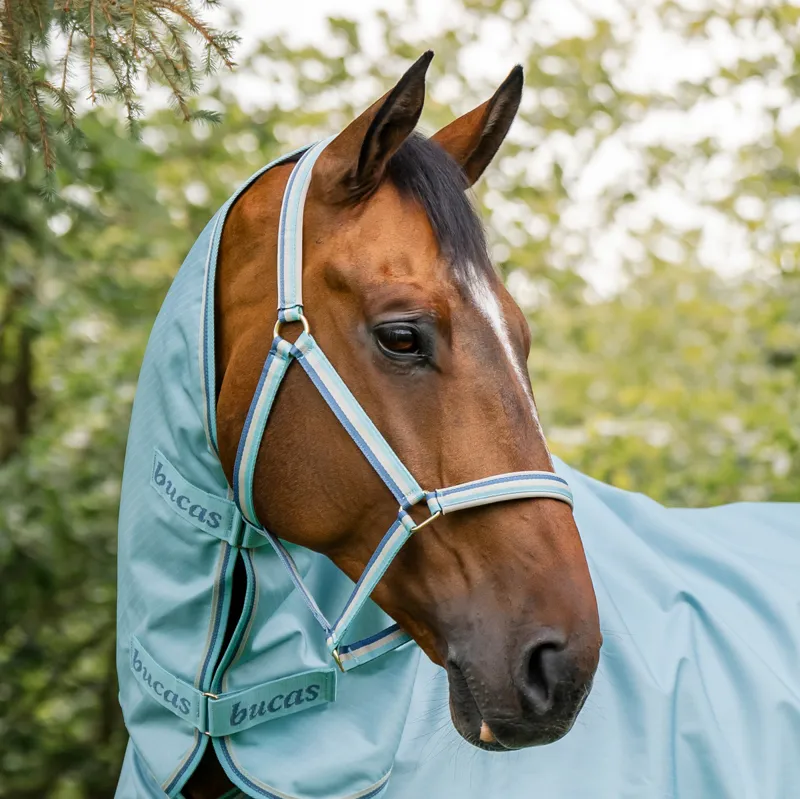 Bucas Dublin Headcollar - Turquoise-2