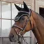 Dy'on Diamond Fly Veil - Black