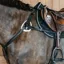 Dy'on New English 5-Point Elastic Breastplate - Black