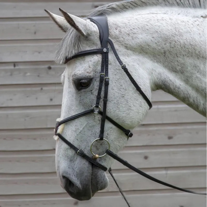 Henry James Mexican Grackle Bridle - Black