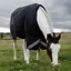 Kentucky All Weather Comfort 0g Turnout Rug - Navy